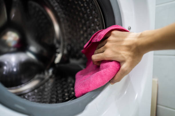 Munfordville, KY Mold Removal Company
