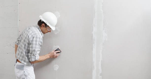 Best Real Estate Mold Inspection  in Munfordville, KY