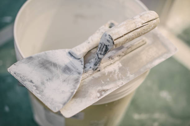 Best Emergency Mold Remediation  in Munfordville, KY