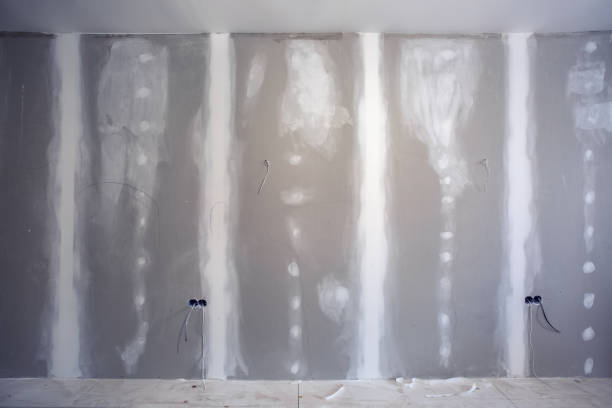Best Dehumidification Services  in Munfordville, KY